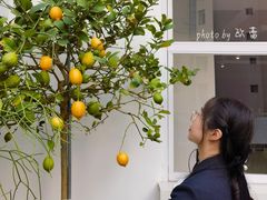 -洪小鹏生活美学馆(领SHOW天地店)