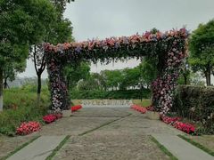 -春花秋色城市公园