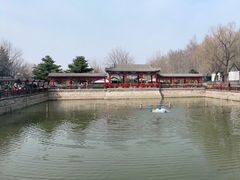 -尚庄度假村·庭台树下·户外烧烤·团建CS·轰趴营地(上庄水库店)