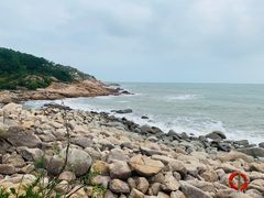 -广东惠东海龟国家级自然保护区
