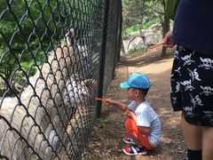 -大连森林动物园