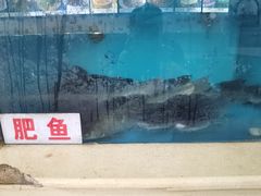 -楚鱼王·河鲜·湖北菜(华农店)