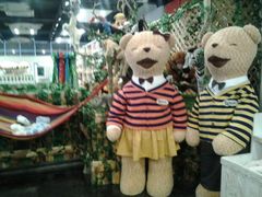 android_upload_pic-济州岛泰迪熊博物馆