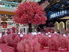 -融创茂(哈尔滨店)