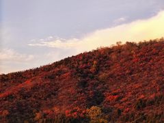 -北京十三陵国家森林公园蟒山景区