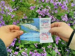 -东湖磨山景区樱花园-停车场