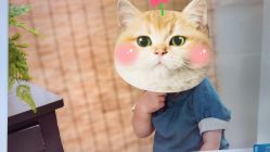 -亲吻宝贝儿童摄影