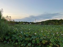 -上海怡沁园度假酒店
