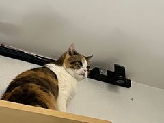 -隅cafe(傅厚岗店)