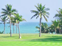 -力哥地道海南菜·联谊文昌鸡老店