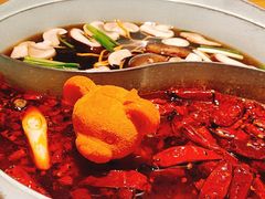 -青瓷火锅料理(西单大悦城店)