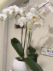 -海涛医疗美容·面部抗衰·注射美鼻