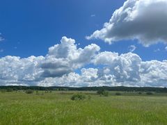 -塞罕坝国家级自然保护区