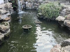 -常熟方塔园