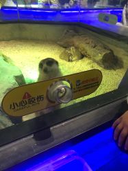 -未来动物城主题公园(正弘城店)
