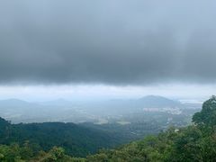 -呀诺达热带雨林