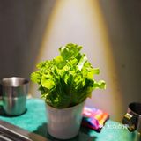 吃完烧烤依旧香喷喷的店在哪里呢⁉️