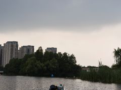 -新江湾城公园