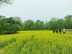 -北坞公园
