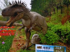 -盛世牡丹苑生态文化旅游区