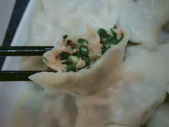 韭菜猪肉馅-启子大馅饺子