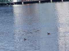 -白鹭湾湿地公园