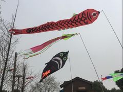 -滆湖低碳生态公园