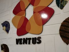 -ventus spa 沙巴亚庇正宗精油按摩会所
