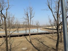 -东郊湿地公园