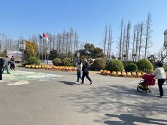 -上海长兴岛郊野公园