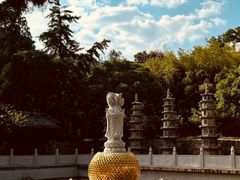 -泰山风景名胜区-普照寺