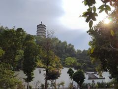 -深圳国际园林花卉博览园