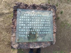 -上海吴淞炮台湾国家湿地公园