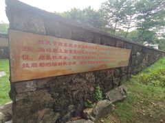 -王借岗森林公园