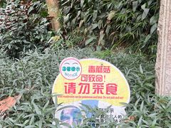 -火炉山森林公园