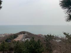 -石老人观光园