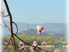 -颐和园