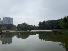 -大望京公园