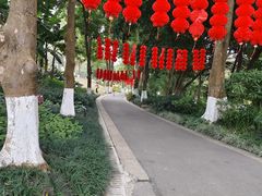 -广西壮族自治区药用植物园