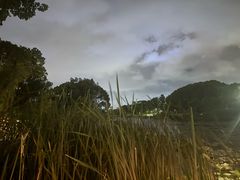 -新江湾城公园