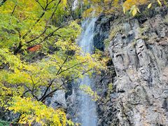 -关门山森林公园