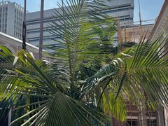 -香港大学