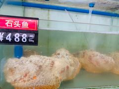 -蓝湾碧波·老字号·疍家非遗海上餐厅