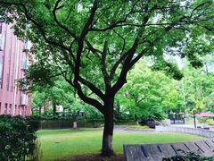 -THE PRESS(复旦大学店)