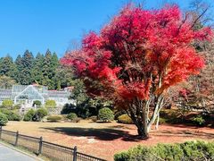 -庐山风景名胜区