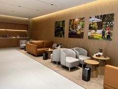 -XPEL旗舰店·汽车贴膜·隐形车衣·改色贴膜