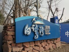 -白鹭湾湿地公园