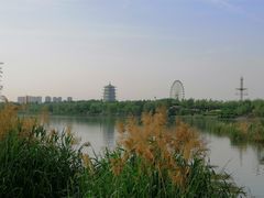 -灞河西岸滨河公园