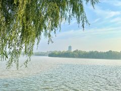 -灞河西岸滨河公园