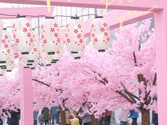 -金茂览秀城